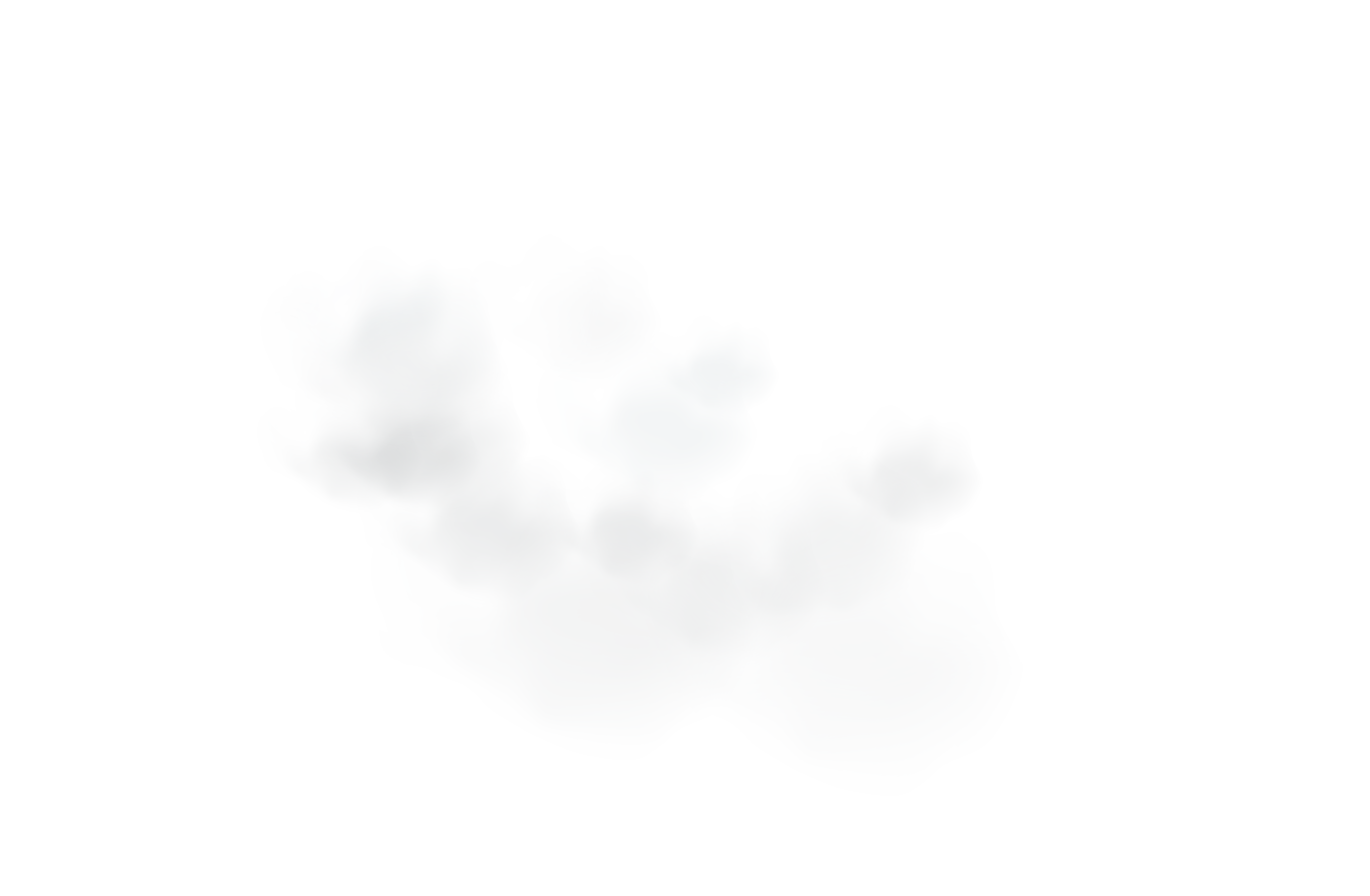 niebla